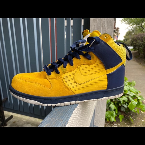 nike mens dunks high